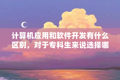 計算機軟件開發(fā)與應(yīng)用 專科生的職業(yè)選擇與發(fā)展前景分析